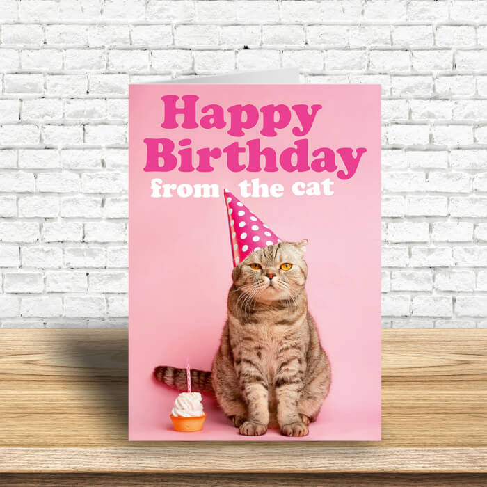 Happy Birthday from the Cat Birthday Card