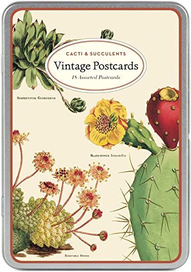 Cacti & Succulents Vintage Postcards Pack