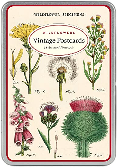Vintage Wildflowers Postcards Pack