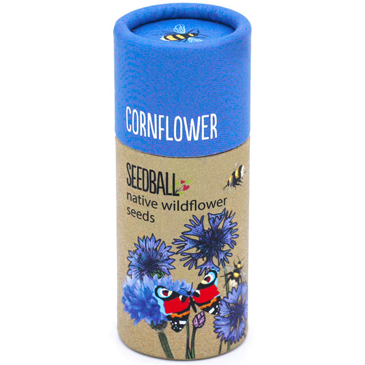 Cornflower Seedball Wildflower Tube