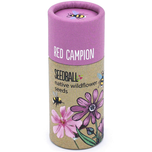 Red Campion Seedball Wildflower Tube