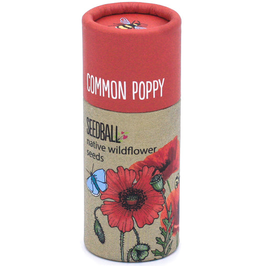 Common Poppy Seedball Wildflower Tube